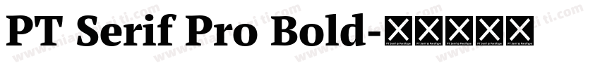 PT Serif Pro Bold字体转换
